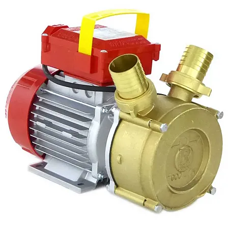 Αντλία λαδιού γάλακτος πετρελαίου 1,2HP BE-M 40 1450rpm ROVER made in italy