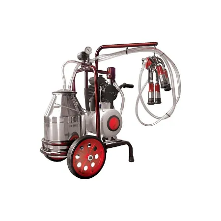 ΑΜΕΛΚΤΙΚΗ ΚΙΝΗΤΗ 1 ΑΓΕΛΑΔΟΣ 0,75ΗΡ