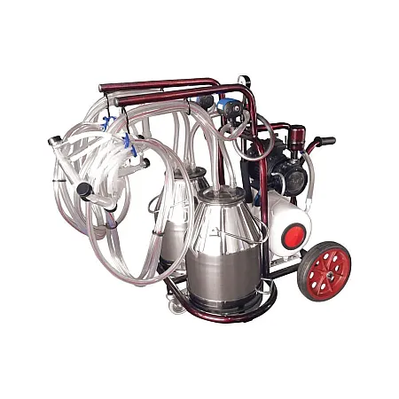 ΑΜΕΛΚΤΙΚΗ ΚΙΝΗΤΗ 4 ΠΡΟΒΑΤΩΝ 1ΗΡ