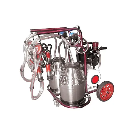 ΑΜΕΛΚΤΙΚΗ ΚΙΝΗΤΗ 2 ΑΓΕΛΑΔΩΝ 1ΗΡ