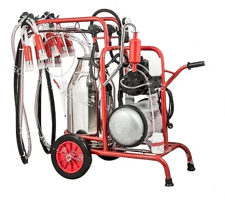 Αλμεκτική 4 ΠΡΟΒΑΤΩΝ 40ltr ΚΑΔΟ 1,5hp SM41Ge