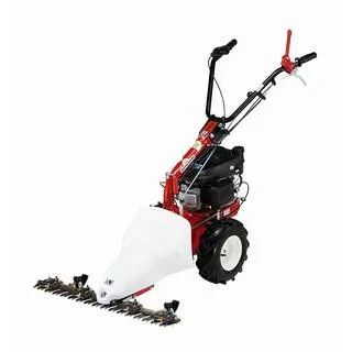 Χορτοκοπτική για το P 55