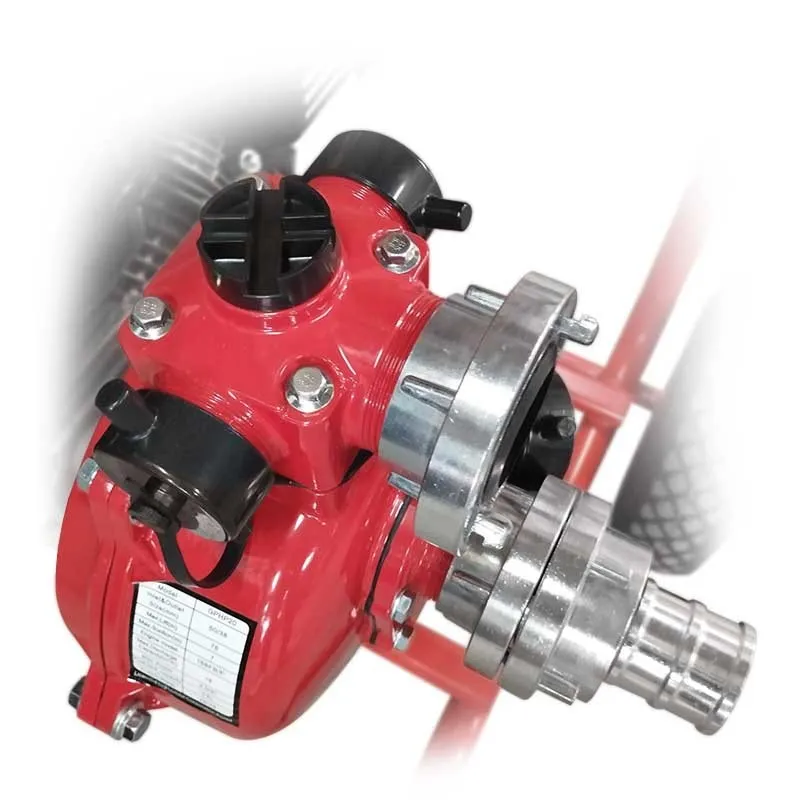 Βενζινοαντλία υψηλής πυρόσβεσης με ανέμη, ρακόρ, ρυθμιζόμενο πιστόλι, μάνικα με λινά σε ρολό 25m & σφιγκτήρες